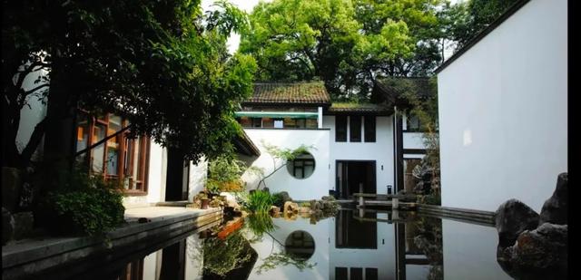 川贝炖花胶 2026年花胶川贝瘦肉的做法