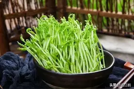 发豆芽用小苏打有什么作用？比例多大合适图片