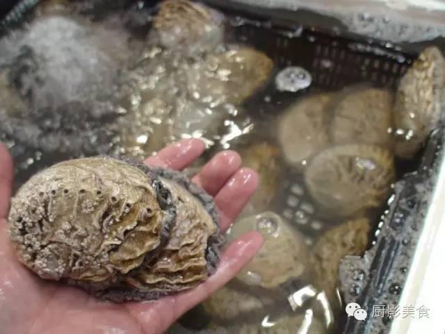 40头的花胶是几级 2025年花胶40头是什么意思?