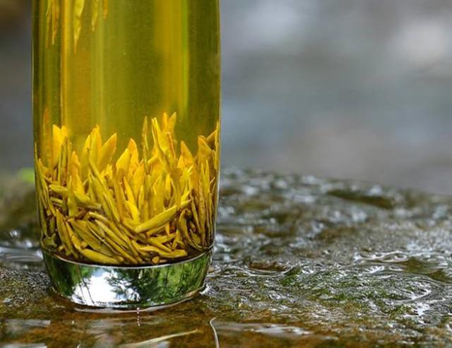 千万别小瞧了天天喝的茶，所有的树叶都能制茶吗？茶叶树叶的区别