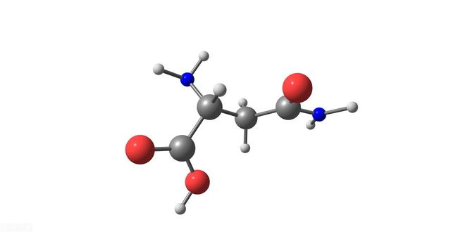 “蛋白质”“氨基酸”人体最重要的营养素之一
