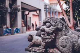 什么是地支六合图片