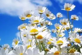 58岁大妈嫁给32岁小伙，3个月后却提出离婚，小伙哭求复合图片