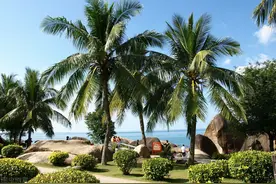 最新康养城市50强：成都跌出前十，贵阳领先长沙，南宁领先武汉图片