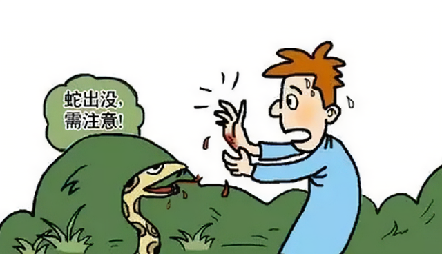 危险!福州男子水库夜钓遇上超级巨蟒 蟒蛇觅食,为何不攻击人?