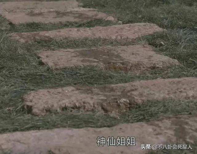 烂出圈的10部电视剧，你或许没有看过，但一定听说过