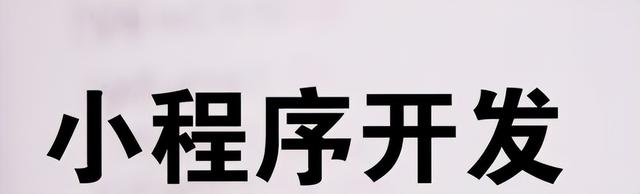 ΢ŷС򿪷СϵͳҪǮ