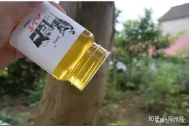 蜂蜜膨胀涨瓶，有气体有白沫，还能吃吗？什么时候蜂蜜会坏？图片