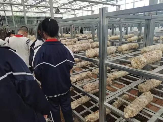 四川省民生研究会新媒体中心-官网