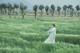 人贵三气：态度和气，做事硬气，心有静气！图片