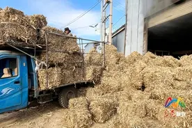 上党区：环保供热让“民心暖”“天更蓝”图片