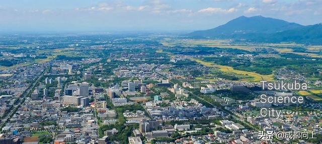 新中产选城市，最看重什么？