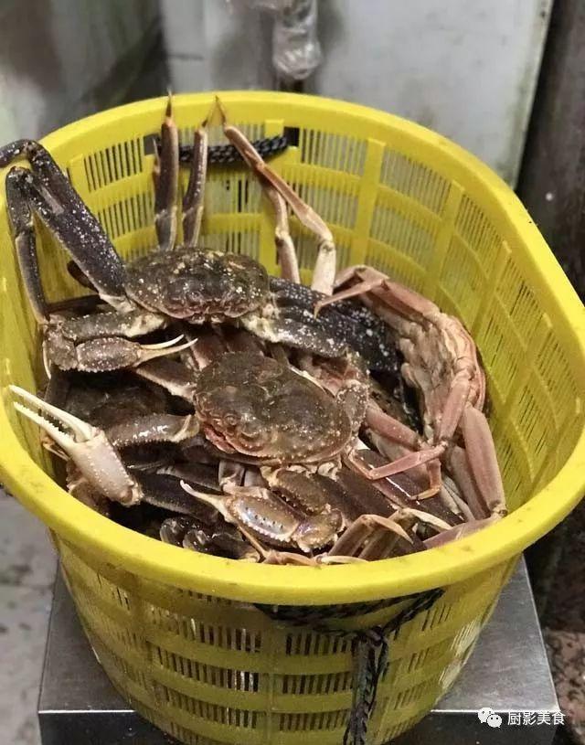 40头的花胶是几级 2025年花胶40头是什么意思?