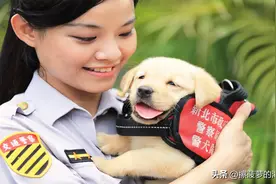 中国台湾省警察职级介绍图片