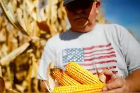 俄开放海参崴不到24小时，中国自信反击，全球贸易震荡或将来临图片