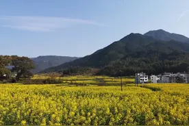 乡村振兴村庄规划设计如何做？依据是什么？图片