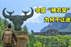 为什么中国“神农架”深处不让进，私自闯入的驴友都经历了什么？图片