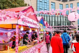 三月早樱落英缤纷，这里的樱花节开幕了图片