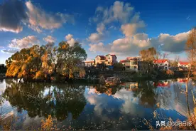 【家在沈阳·我的沈阳】蒲河植物志图片