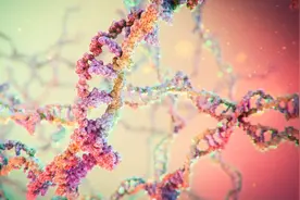 已发现一种在 DNA 中存储信息的新基本机制图片