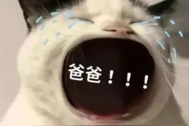 表情包：爸爸！！！我没钱了图片