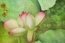 技法高超娴熟，格调古雅稳重——衍达工笔画图片