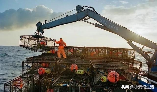 有三种职业工作时间短收入高，却没几个人敢干