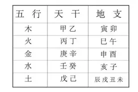 天干地支入门知识图片
