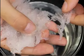 燕窝6个知识#食疗#燕窝有什么功效和作用图片