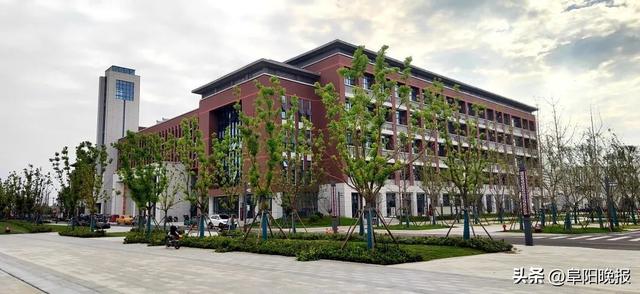 阜阳未来学校(阜阳一新大学) - 珠海慕海网络科技