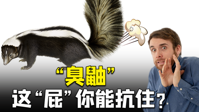 鲜于蕴秀