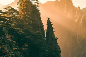 一夜涨粉200万，这个小哥给导游挣了多少光图片