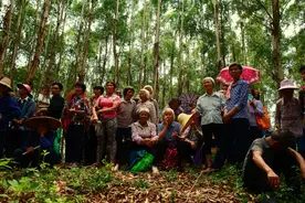 走进横州，传统的圩逢民俗与民间乡野山歌图片