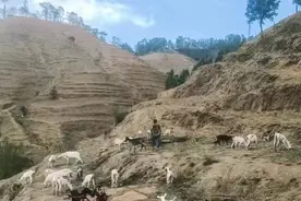 我的父亲卢顺达图片