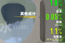 尿检是在检查什么问题？颜色代表了什么？图片
