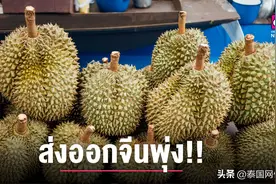 泰国榴莲成“顶流”2021年近90%均出口至中国图片