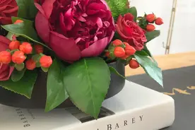 情人节大家都送红玫瑰，玫瑰的花语了解一下图片
