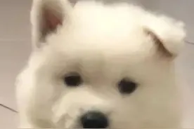 表情包 | 头好痒好像要长脑子了图片