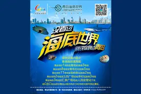 青岛海底世界免门票政策常见问题解答图片