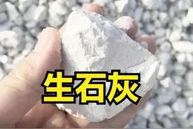 土壤里撒“生石灰”，能化解两种烦恼，你知道是什么吗？图片
