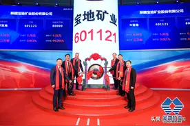 新疆高品位铁矿龙头，宝地矿业：政策助力，资源和区域优势明显图片