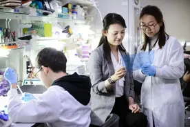 女神节｜致敬科创“她”力量，聆听4位女科技工作者的科研故事图片