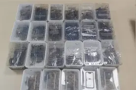 海关截获23只“世界最大最毒”蜈蚣！半米长无天敌，究竟有多毒？图片