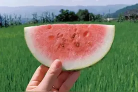 六月文案 | 夏天来得很快，六月才刚刚开始。图片