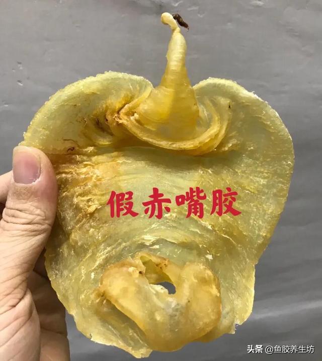 四大赤嘴鱼胶排名 赤嘴鱼胶产地哪里?最好