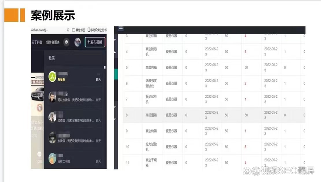 ʲôǶ搜刮引擎优化Ƶ搜刮引擎优化ϵͳ
