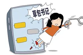 草包书记案中复议机关为何以程序违法为由撤销了行政处罚图片