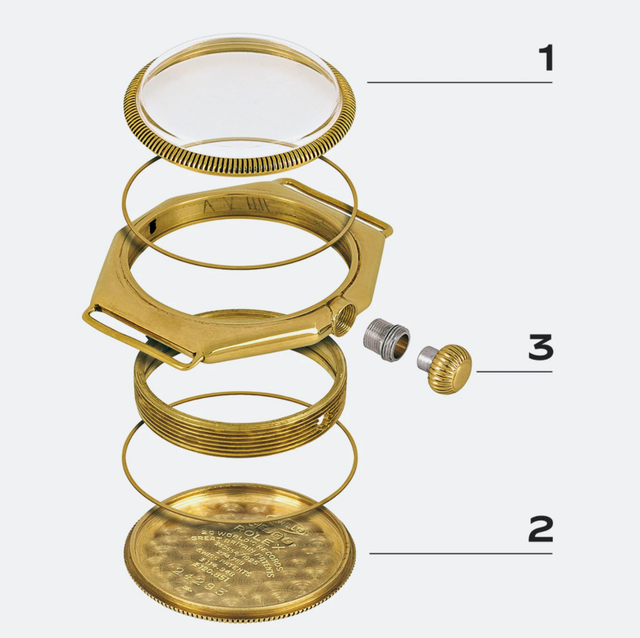 ��꿽�ʣ�Ϊʲô��Ҷ���������ʿ��