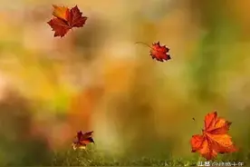 负债累累，走投无路了，我该怎么办？图片