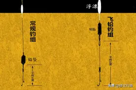 钓鱼小技巧：飞铅的原理、用法、抓口及注意事项，快收藏图片